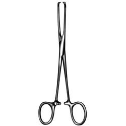 Pinza allis 15 cm (5 piezas)