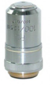 Objetivo plano acromático 100X