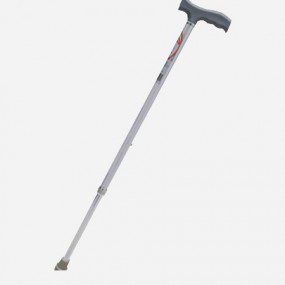 Bastón en "T" color plata