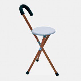 Bastón cuello de ganso color plata