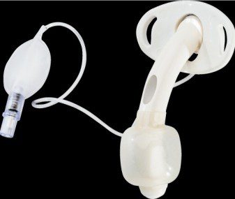 Canula traqueal shiley fenestrada 8.9 mm