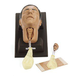 Maniquí para Cricotirotomía
