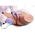 Simulador de Cateterización urinaria Femenino