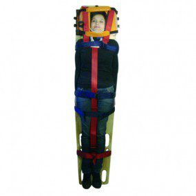 Sistema de inmovilización de madera adulto